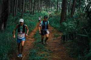 BIB: 
                            <button type="button" onclick="openModal(25660426)" class="btn btn-primary btn-sm float-right btn-popup" data-toggle="modal" data-target=".modal-high-quality">
                        <i class="fas fa-shopping-cart"></i> Add to Cart
                    </button>
                                            <button type="button" onclick="isThisMe(25660426, true)" class="btn btn-success btn-sm float-right btn-popup btn-isme hidden" data-toggle="tooltip" data-placement="bottom" title="นี่คือรูปของคุณใช่ไหม คลิกที่นี่เพื่อเอาเข้าอัลบั้ม">
                        <i class="fas fa-plus"></i> Add to album
                    </button>
                    <button type="button" onclick="isThisMe(25660426, false)" class="btn btn-warning btn-sm float-right btn-popup btn-isnotme hidden">
                        <i class="fas fa-ban"></i> Remove from album
                    </button>